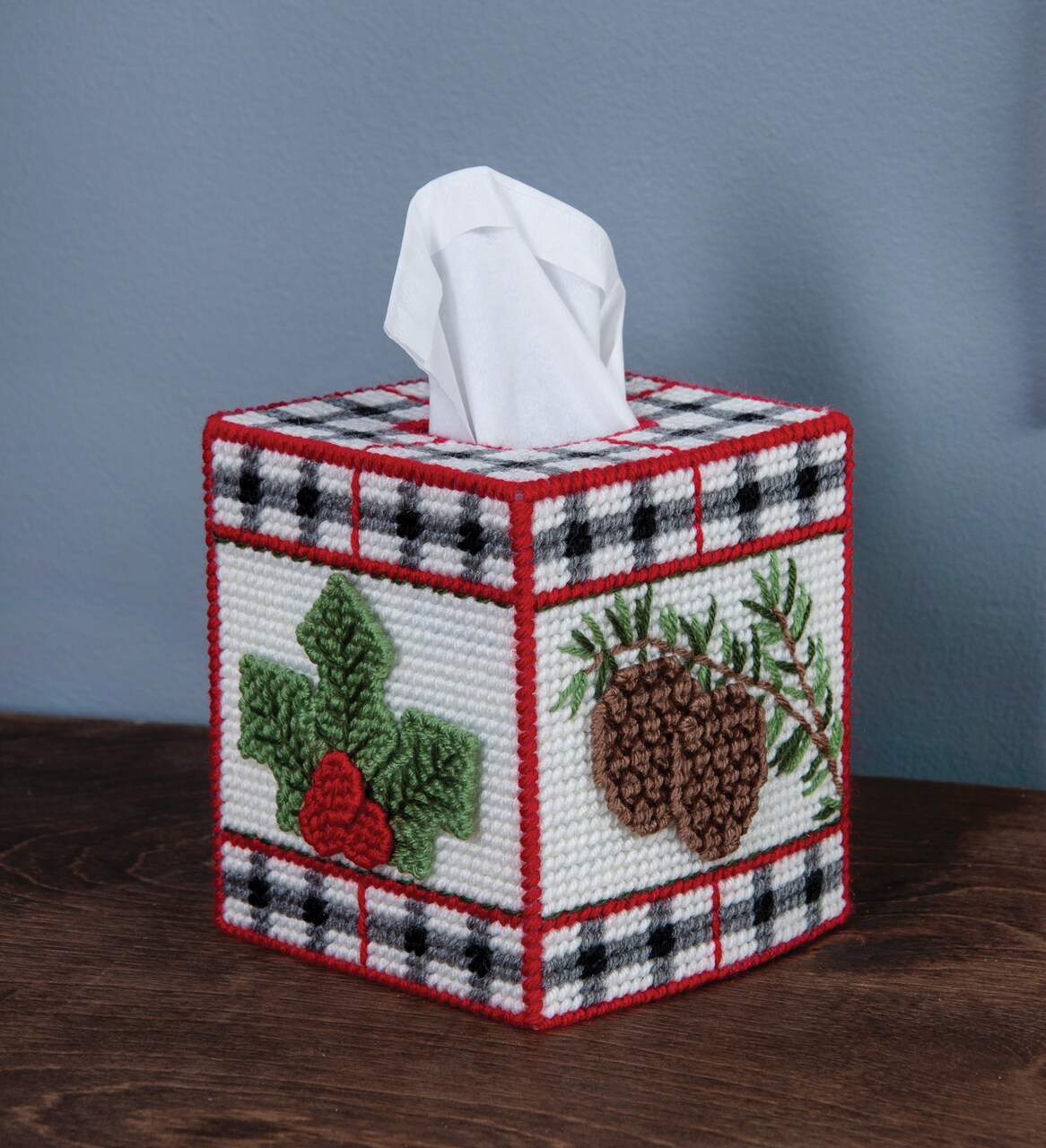 Mary Maxim Plastic Canvas Tissue Box Kit 5"-Winter Welcome (7 count)